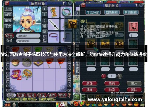 梦幻西游舍利子获取技巧与使用方法全解析，助你快速提升战力和修炼进度